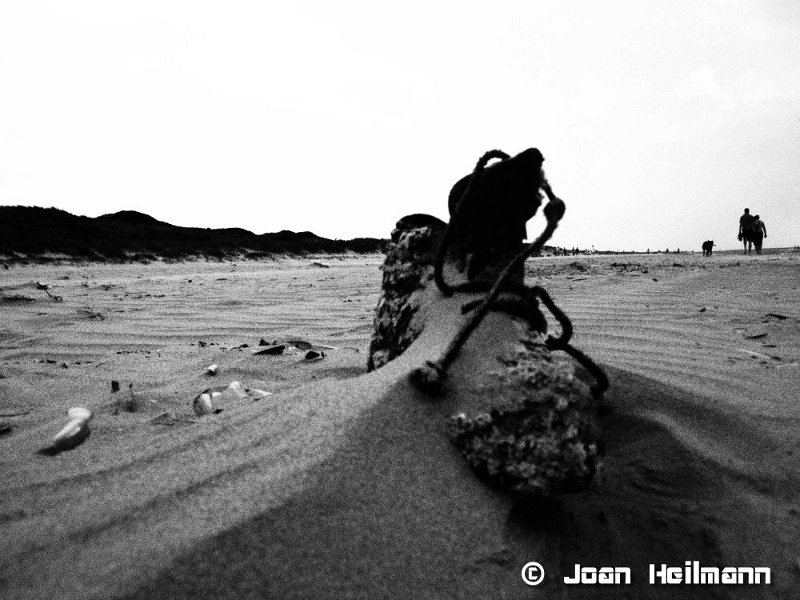 www.dare2think.dk/Galleri/Bluewater_2011_BW/Blaavand_2011_BW/album/slides/P706380106072011.jpg